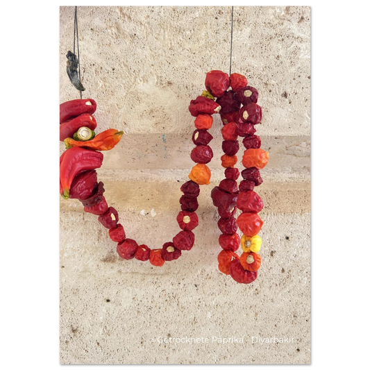 6e97cbc2-13a6-4368-a4dd-620b7aeb3e46