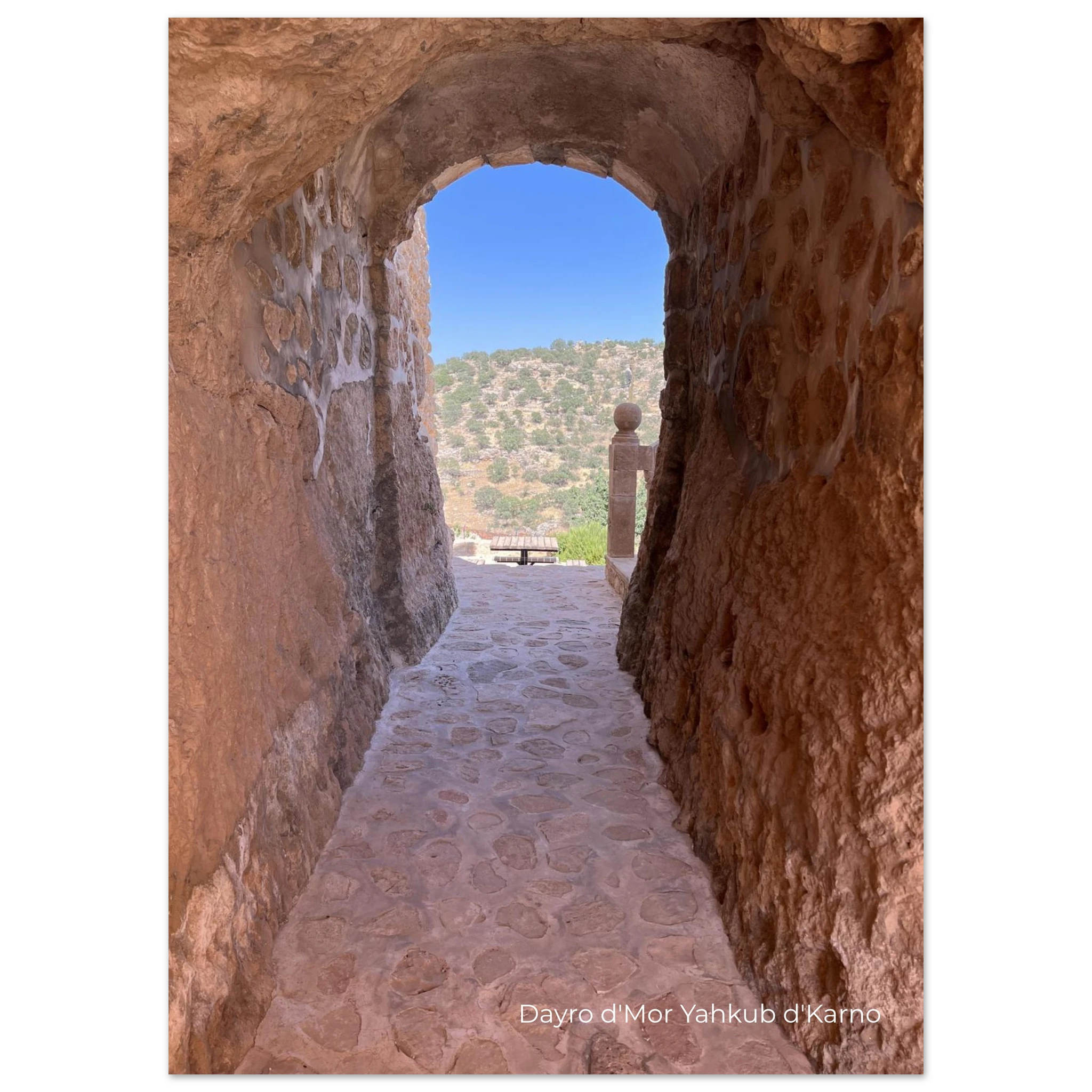 20dfdf9e-60b1-4e56-8845-011cd2ca3c70