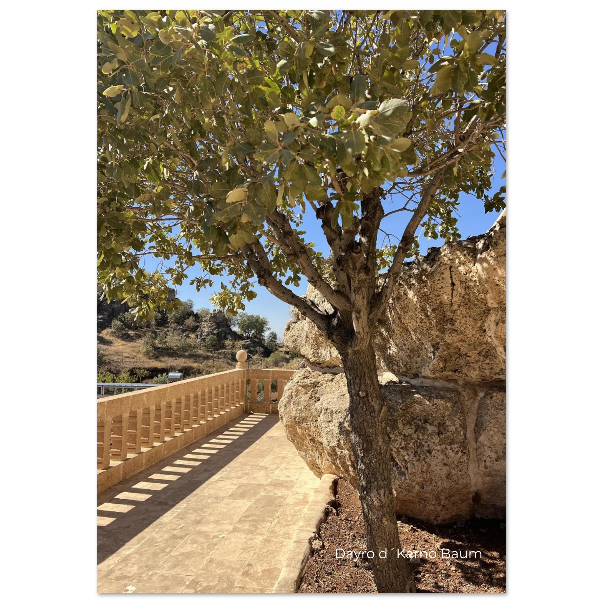 2df3dc21-2371-4d65-8f18-62d8f54e3a51