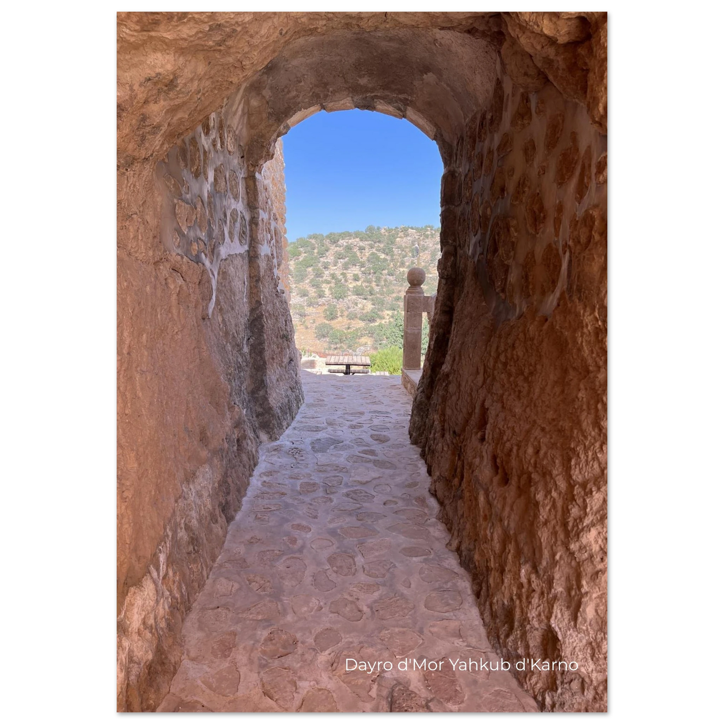 370e3767-9f93-4b40-a7bd-ee3b26c59dd2