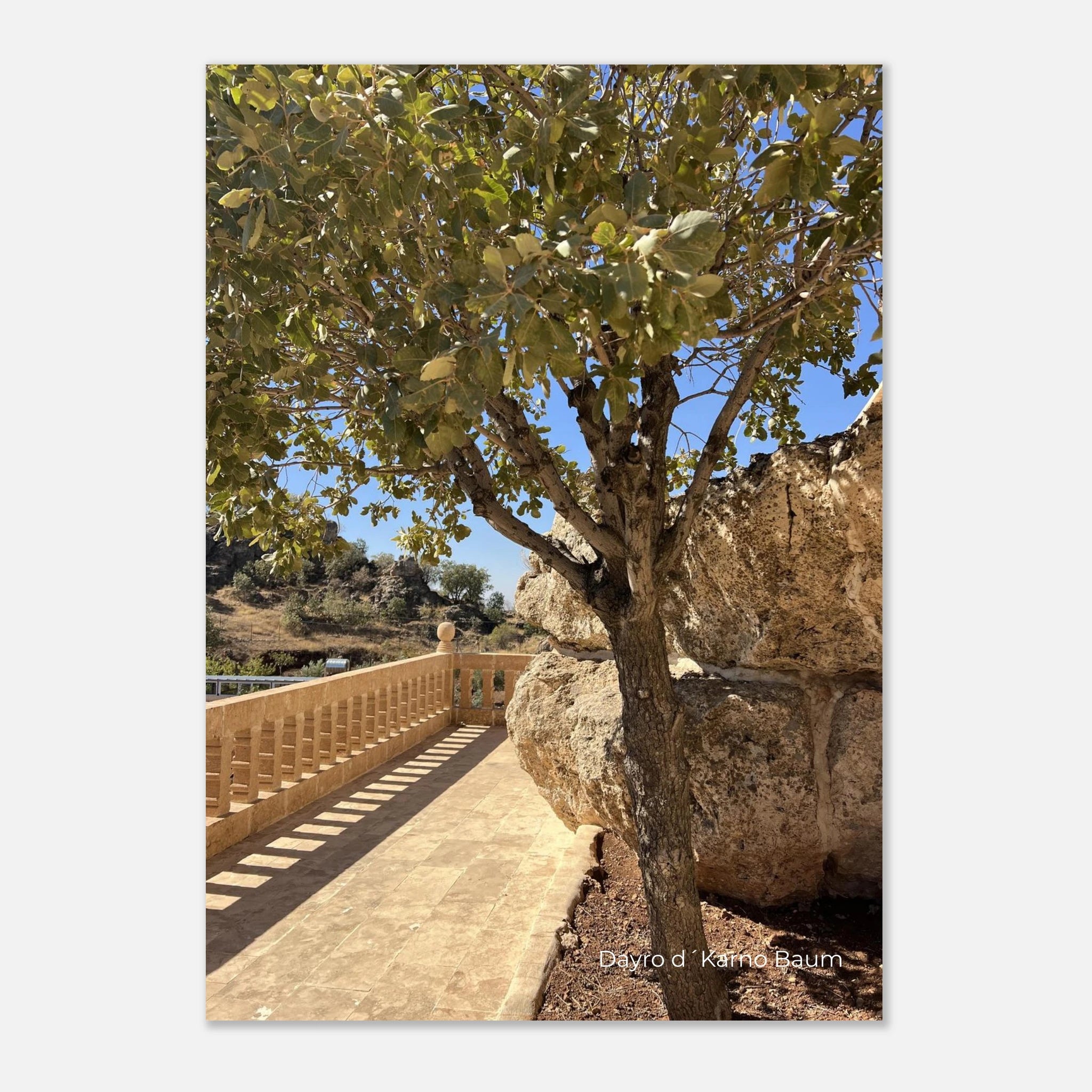 40162a4f-90ed-47fc-8884-3c5b333e6b88