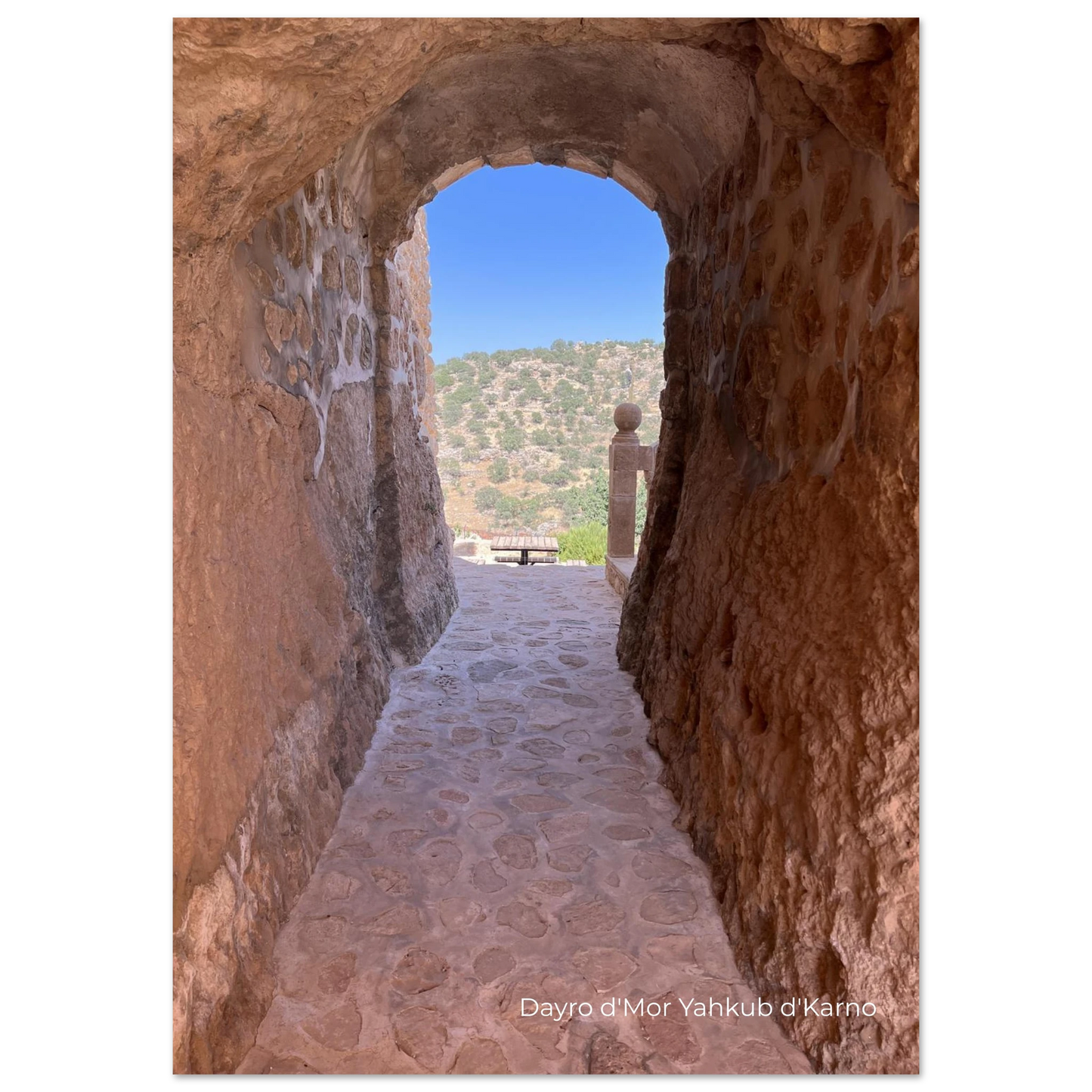 66607504-e5d1-430d-b7ce-098568c39008