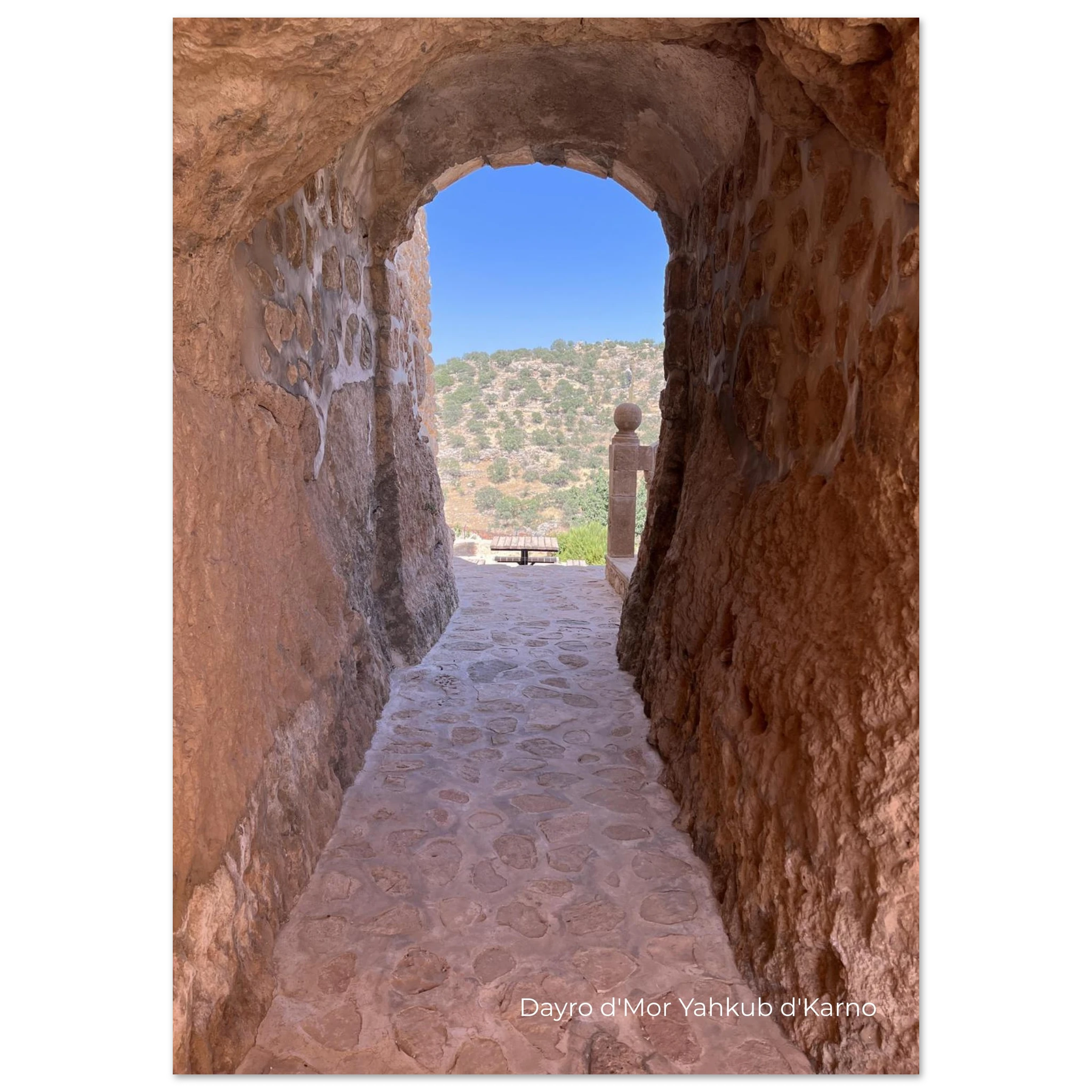 66607504-e5d1-430d-b7ce-098568c39008