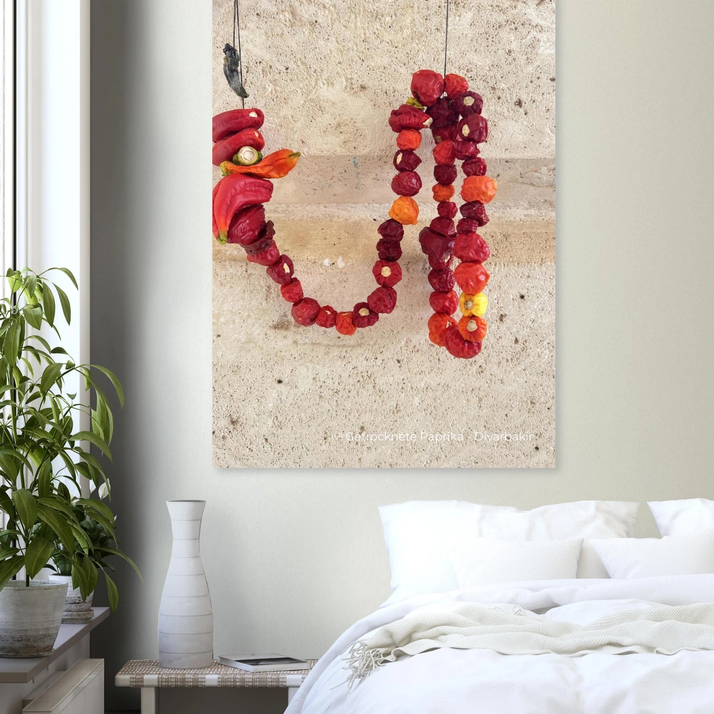 6deae040-8d73-4220-bcad-bb9a6c04967d