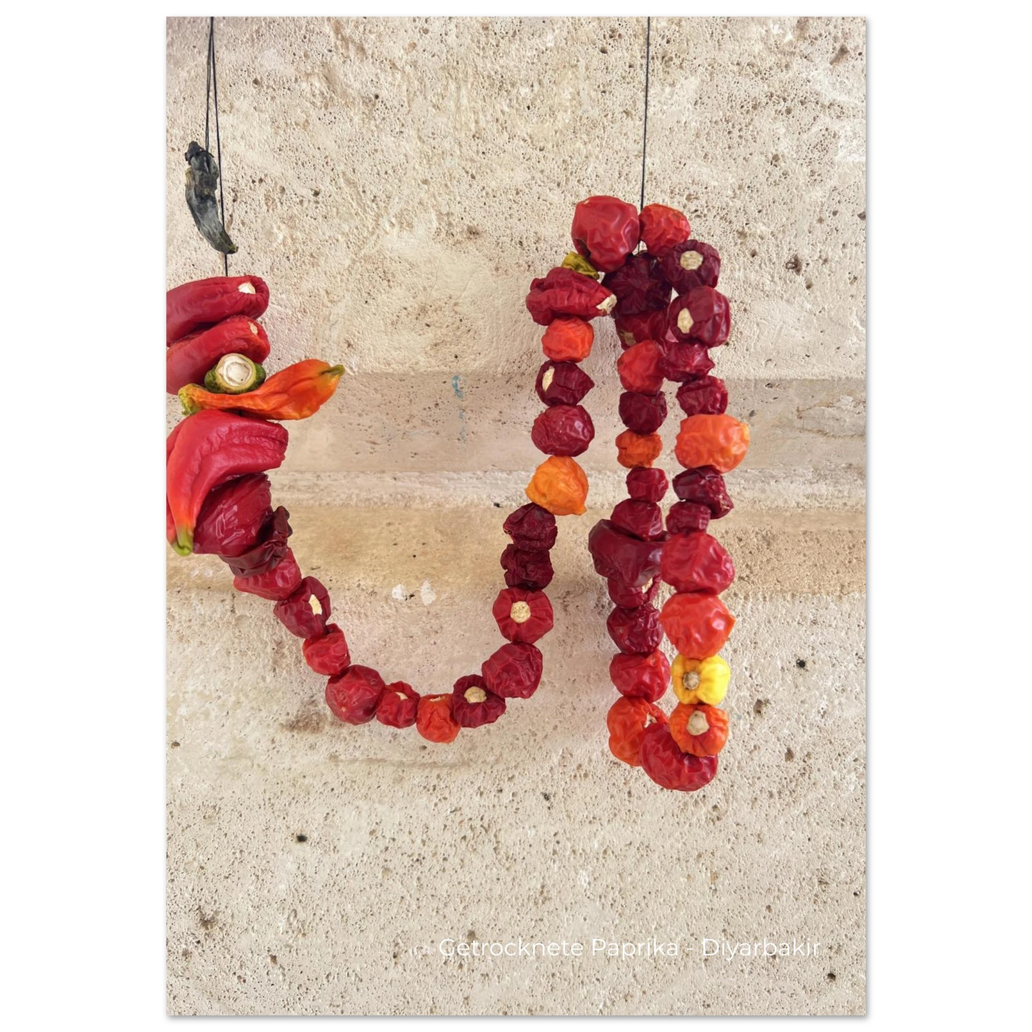 6e97cbc2-13a6-4368-a4dd-620b7aeb3e46