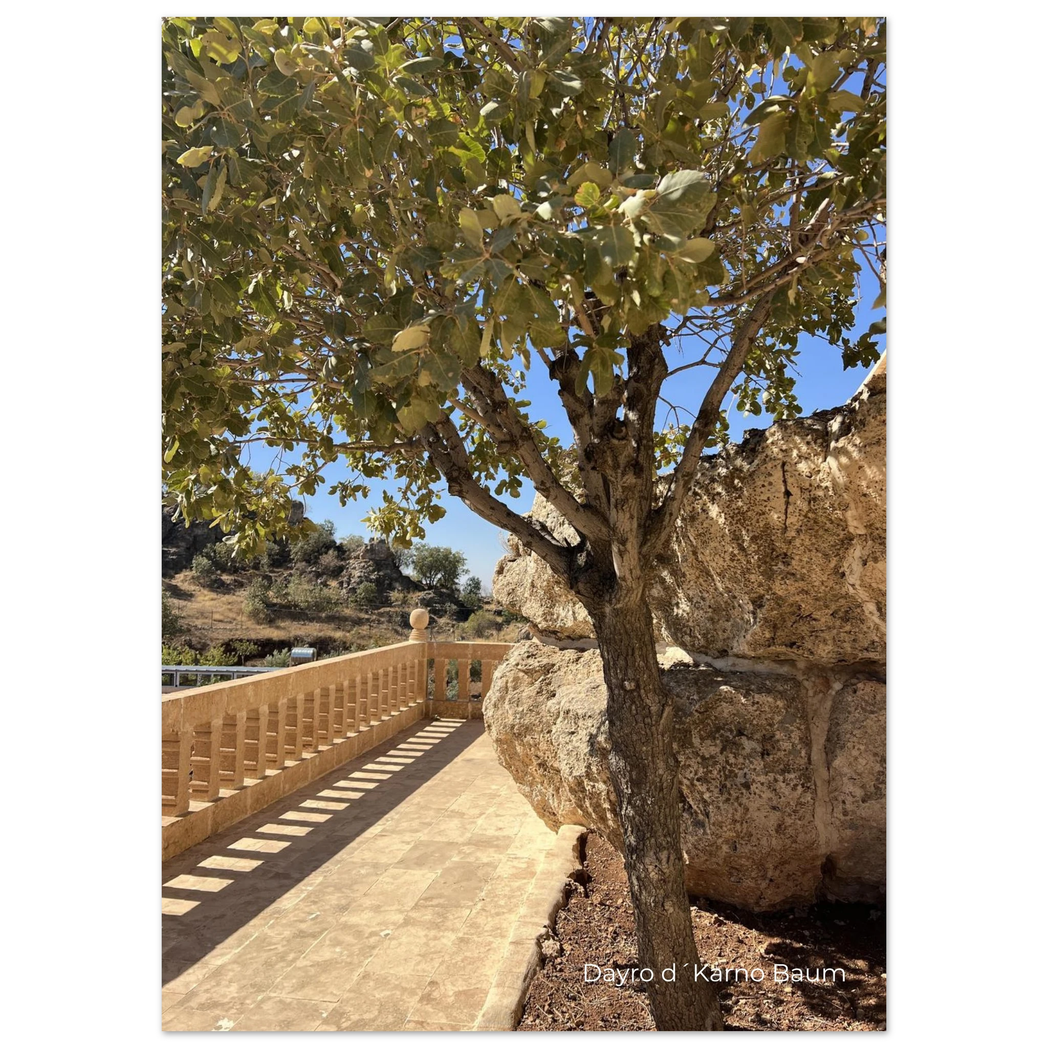 6f10dc4f-c3cc-4d3b-b868-e678500cb58b