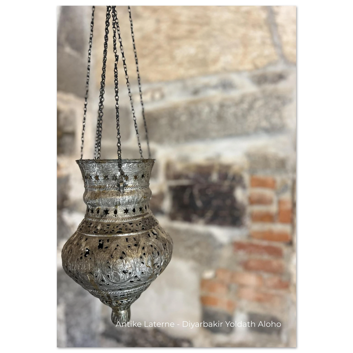 70dd970c-2201-454c-924e-e57e4005a77a