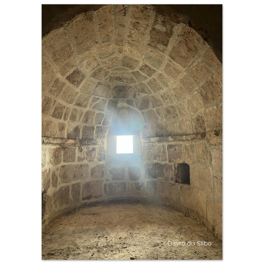 81c7e646-fa4f-4c57-be0e-56118de0b309