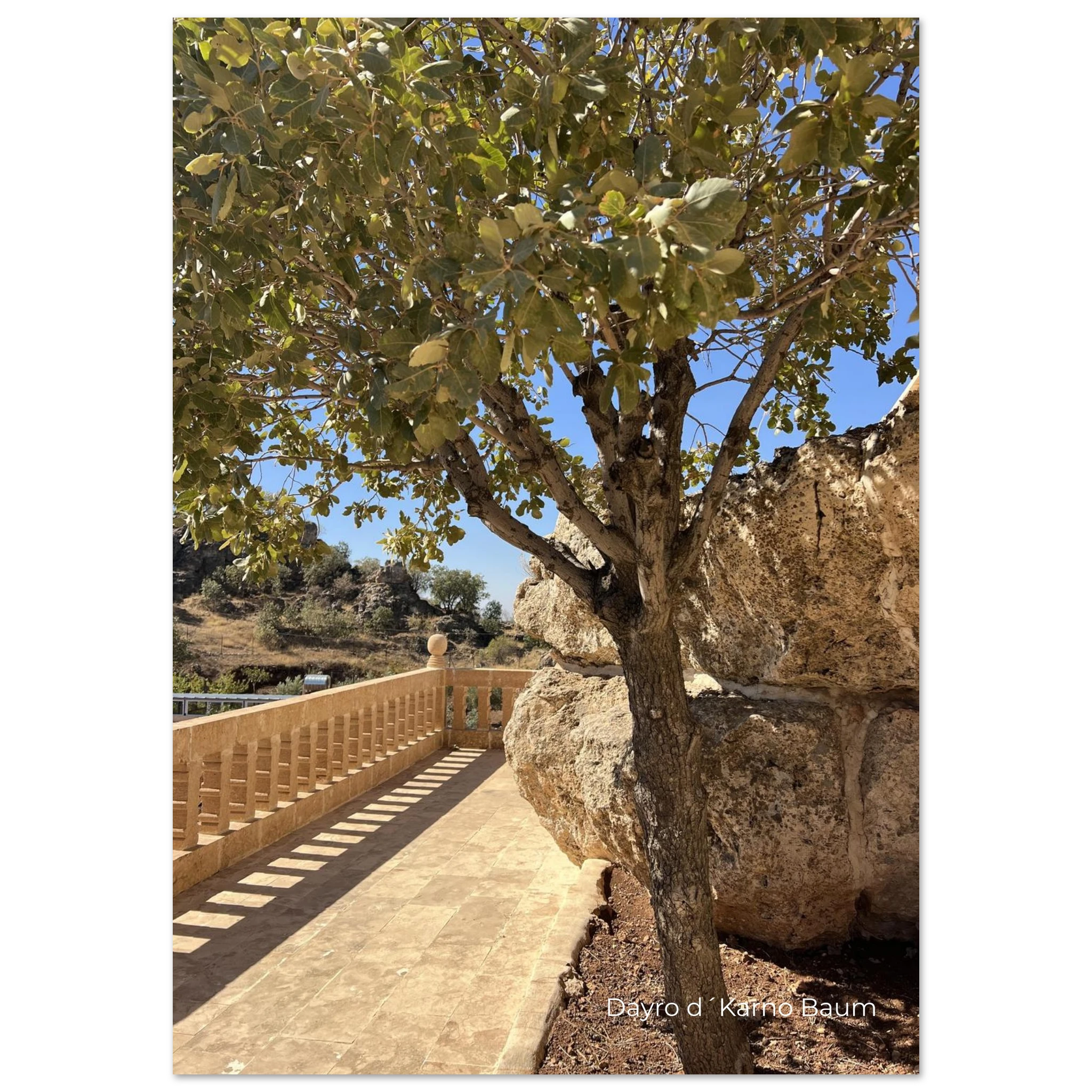 82893402-6660-471e-8f19-774f62f2732d