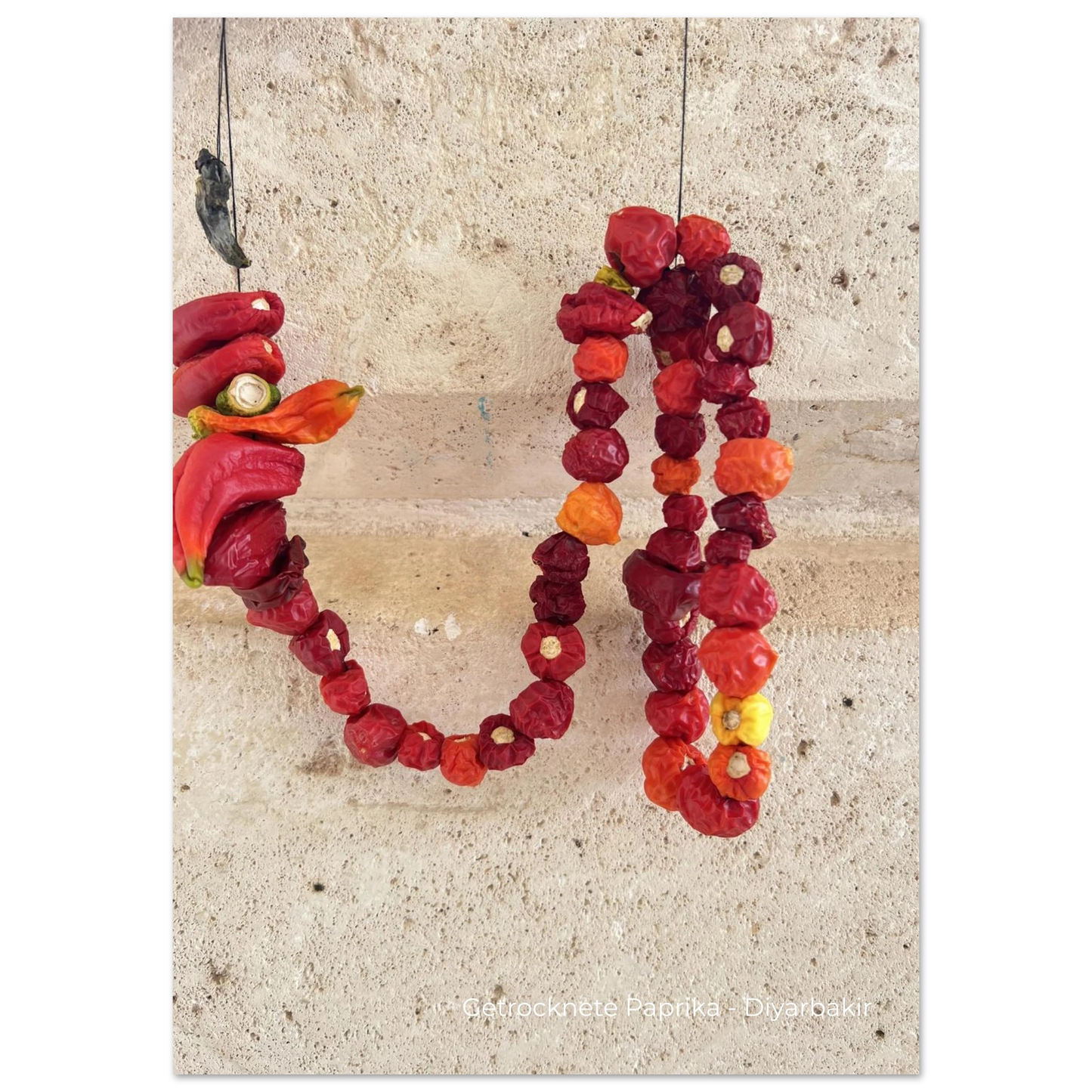 8b2b5c98-aed4-4e1e-8ebd-1598df08bcb6