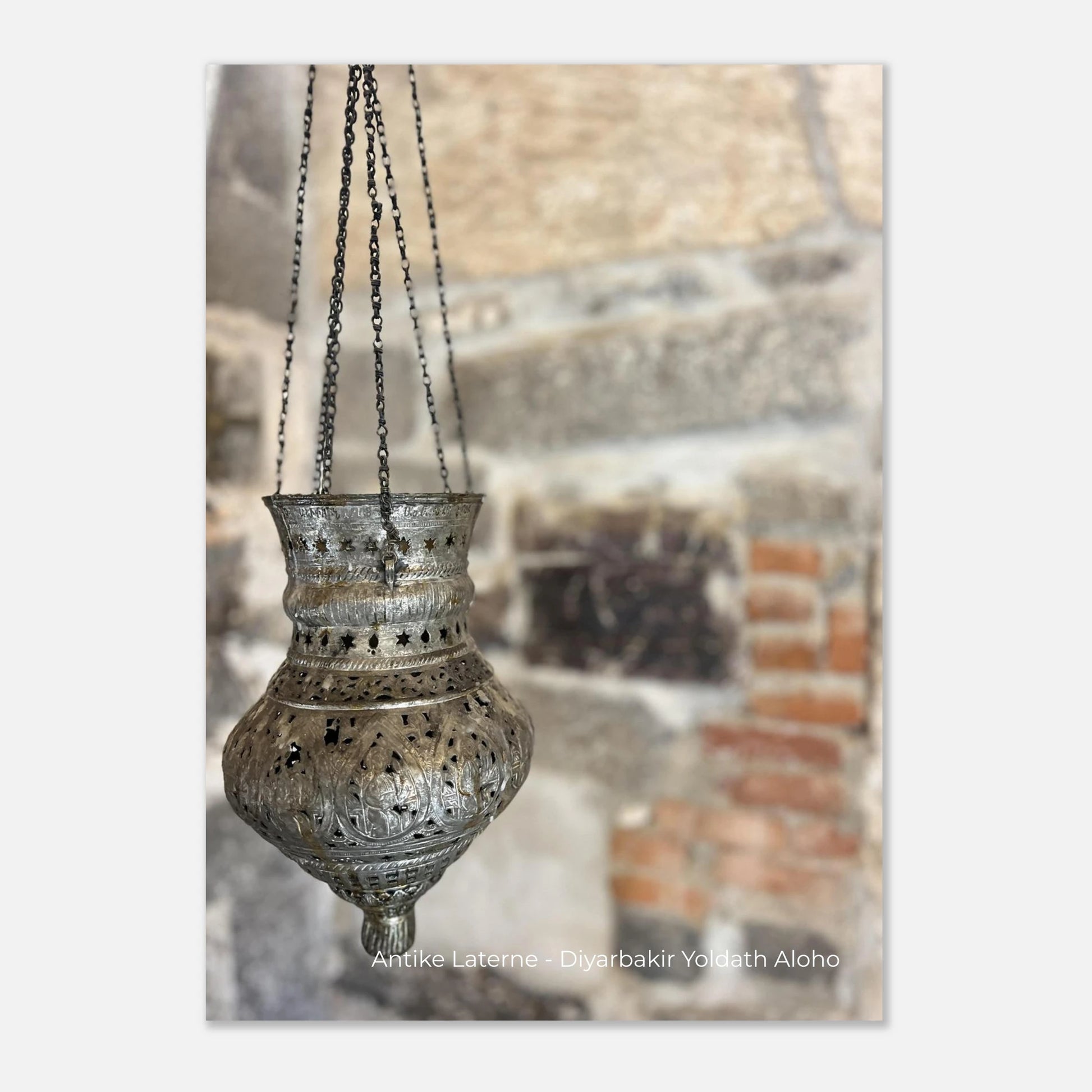 8ee72b9f-877d-45b4-b797-1155d929d92e