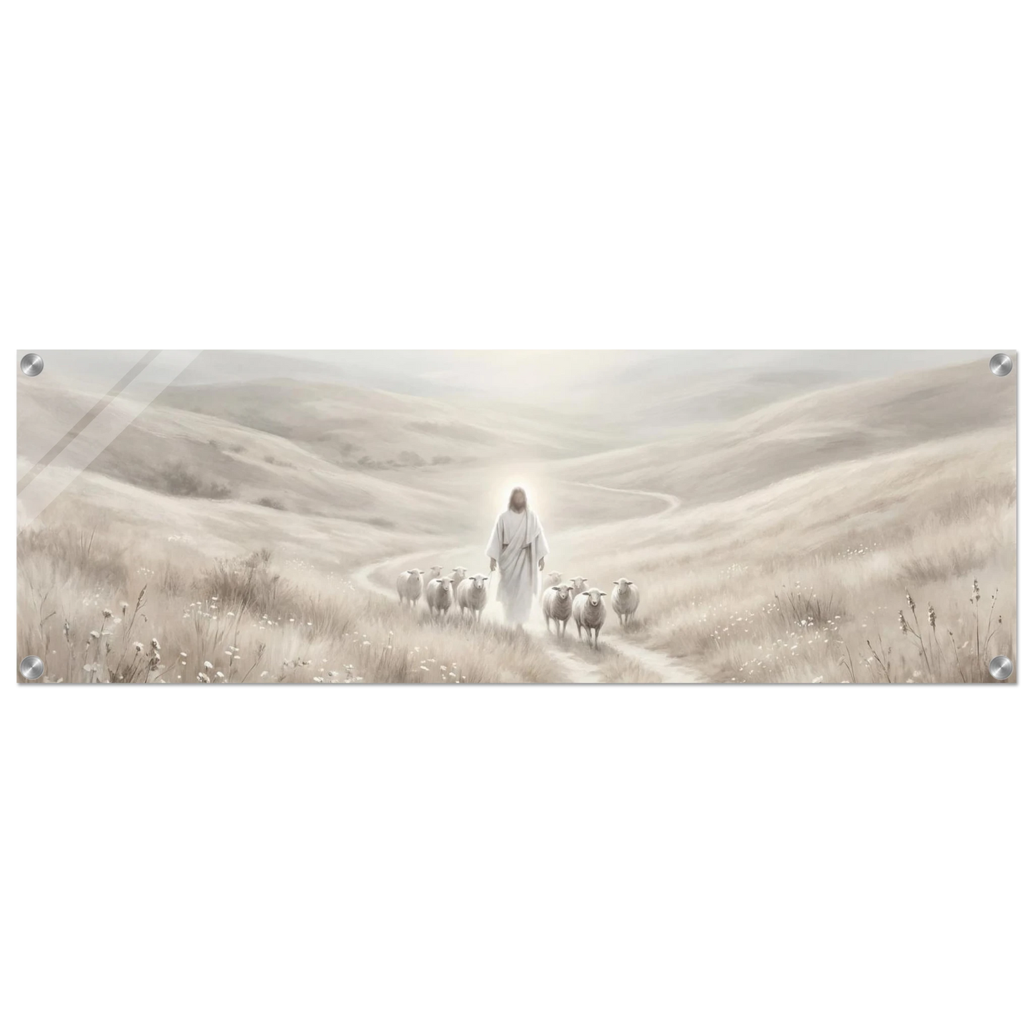 96fcb6c5-04d7-4557-a4d6-9537ac42769e