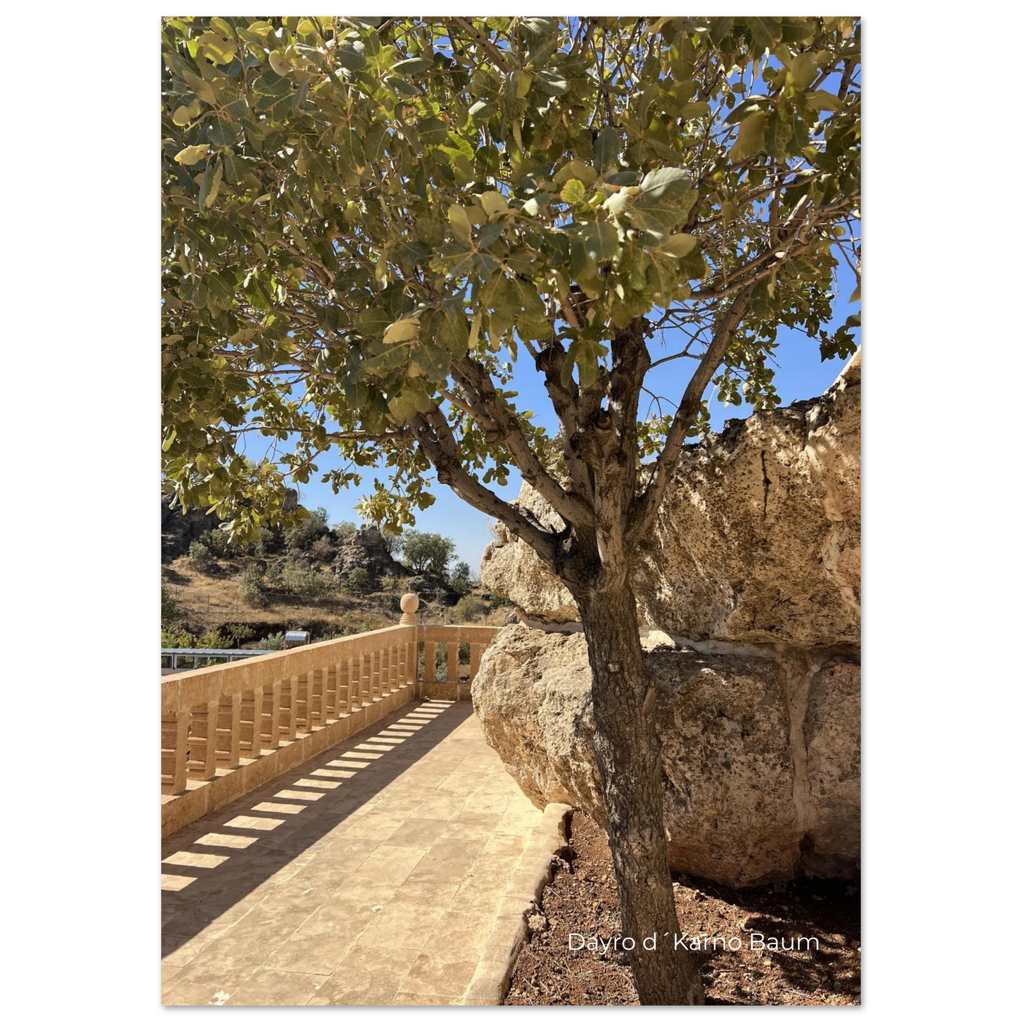 9cb9129c-3b95-420b-8e86-ca2b41552309