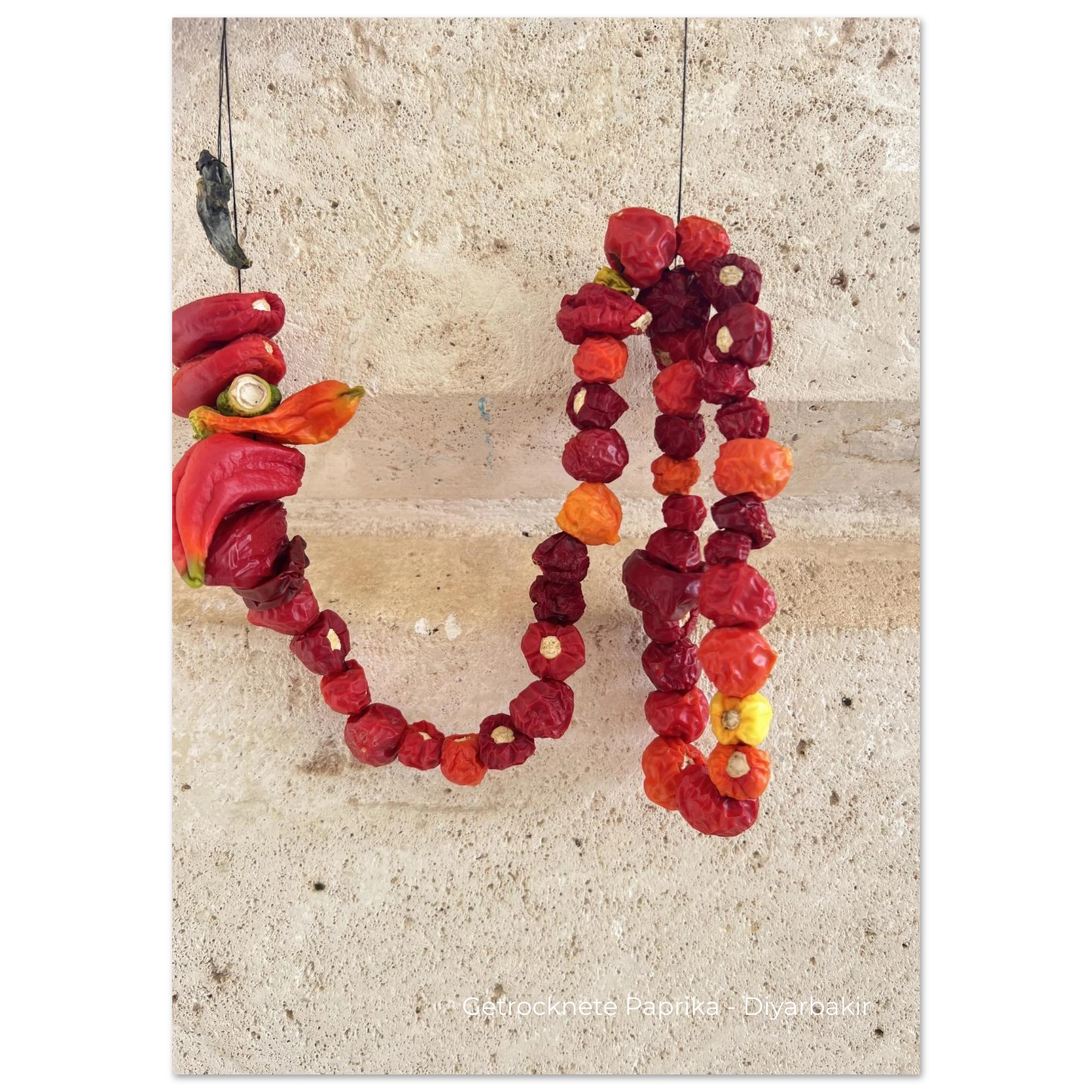 9f1072b7-8303-4658-9822-739e03ebf590