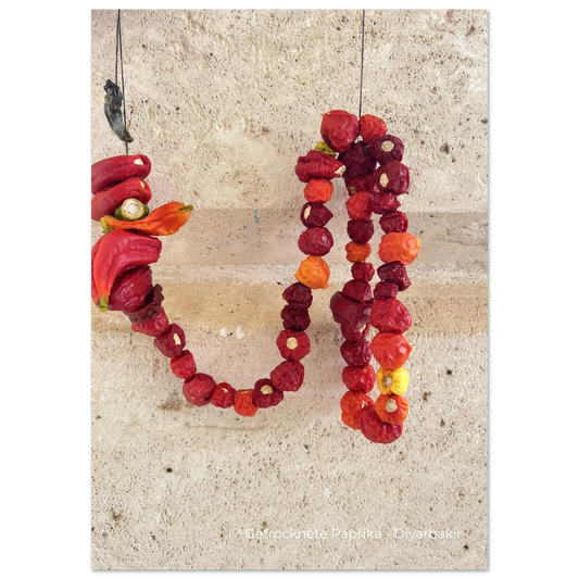 9f1072b7-8303-4658-9822-739e03ebf590