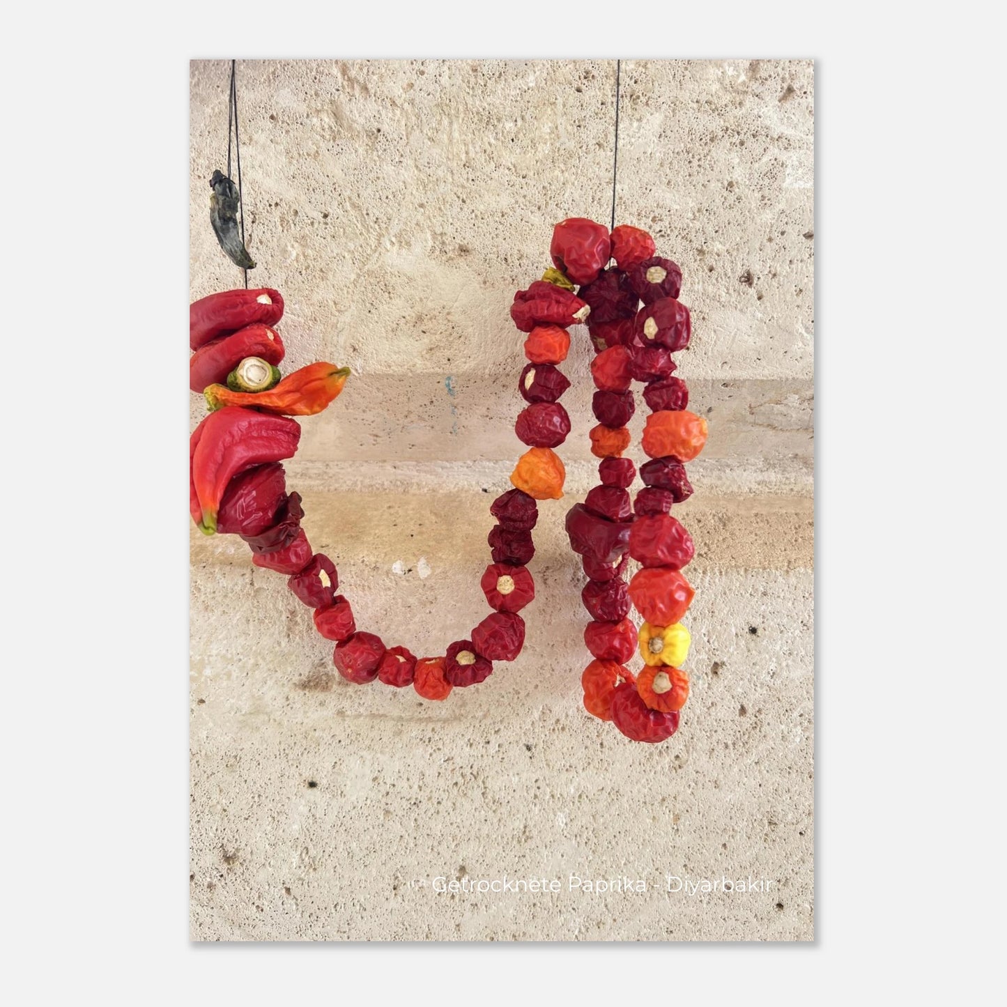 a94b0223-0876-4b04-a314-391721717042