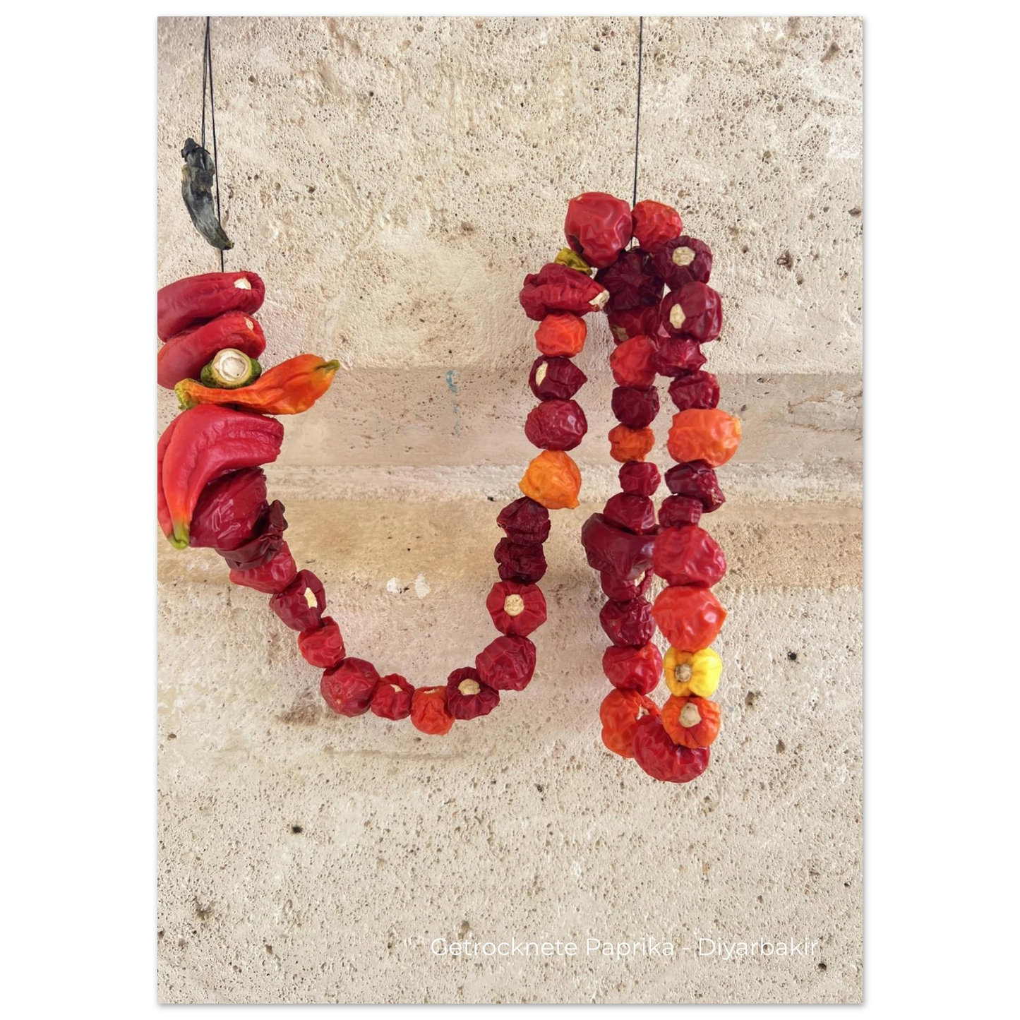 bddd8668-bbf7-4b51-ba69-3507b980be03