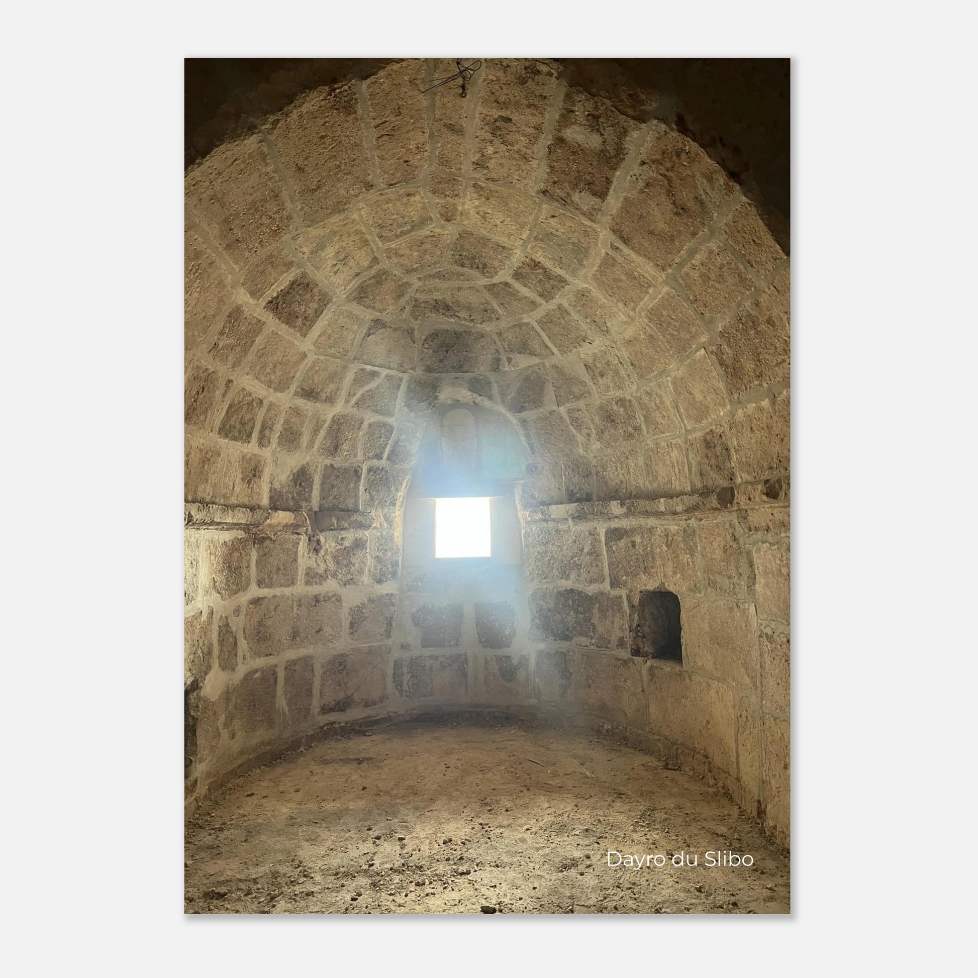 d88a5456-7b58-4b4e-a4a8-b1f2ac173ff5