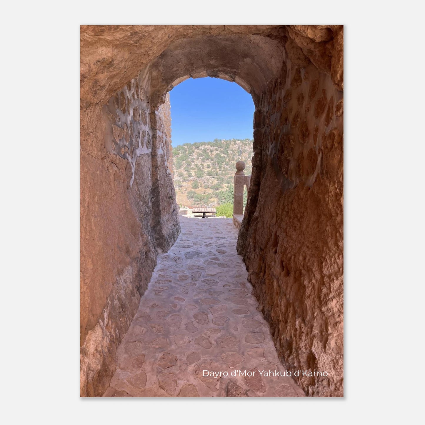 fb9afb10-758c-4221-97a8-69ca4277d0e9